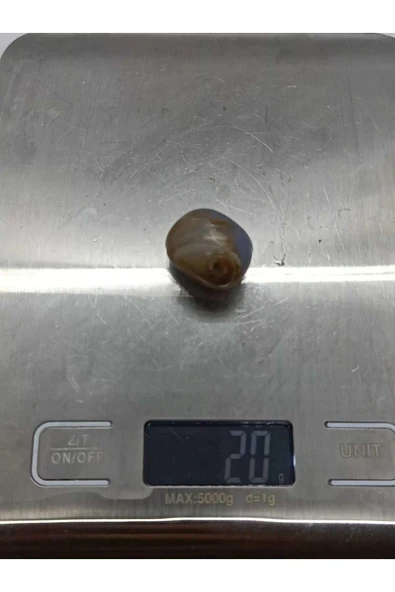 gemsartdeco Mavi Kalsedon Oval Doğaltaş Ham Kütle - Resim 3