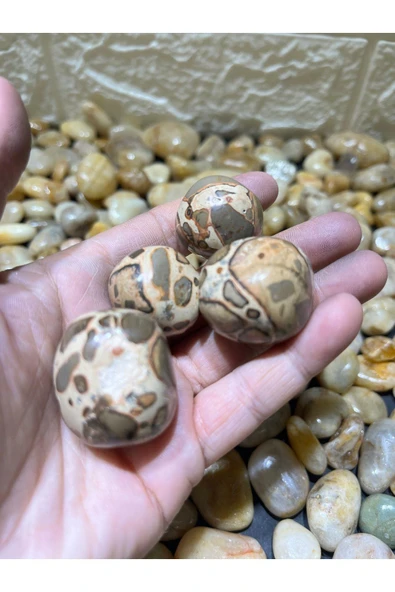 gemsartdeco Septeryan Doğaltaş AA kalite Tambur - Resim 3