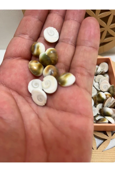 gemsartdeco Yılancık taşı 3 adet - Resim 3