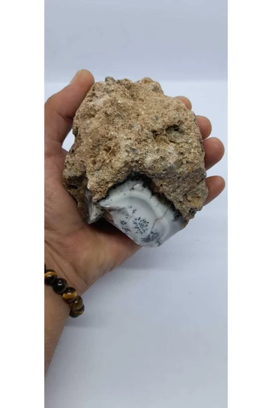 gemsartdeco Dentritli opal koleksiyonluk doğaltaş - Resim 5