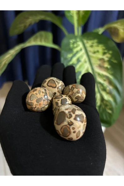 gemsartdeco Septeryan Doğaltaş AA kalite Tambur - Resim 5