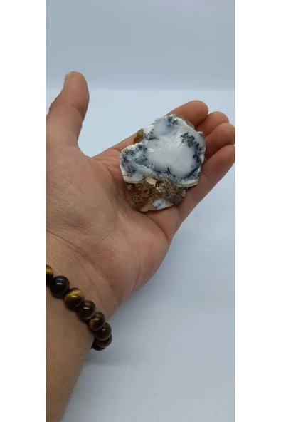 gemsartdeco Dentritli opal koleksiyonluk doğaltaş - Resim 6