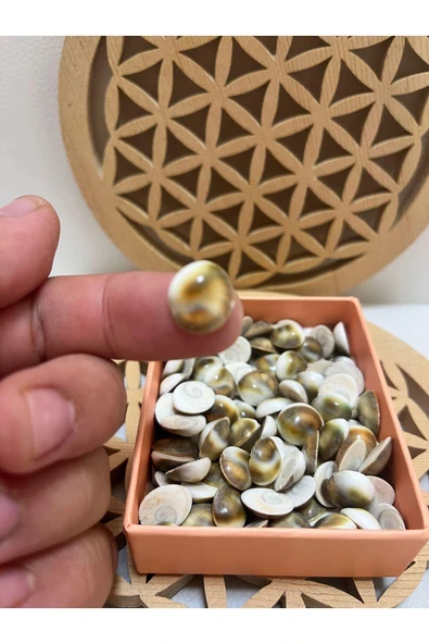 gemsartdeco Yılancık taşı 3 adet ürün görseli