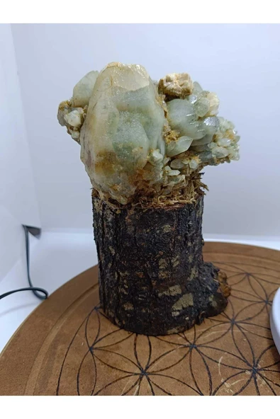 gemsartdeco Özel Tasarım Ağaç Görünümlü Kaideli Küme Kuvars - Resim 2