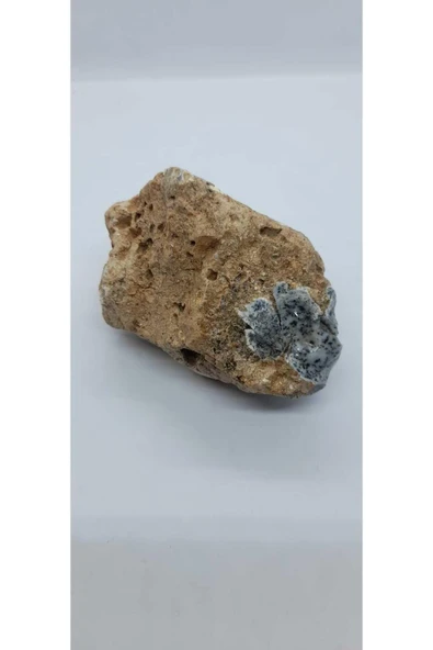 gemsartdeco Dentritli opal koleksiyonluk doğaltaş - Resim 6