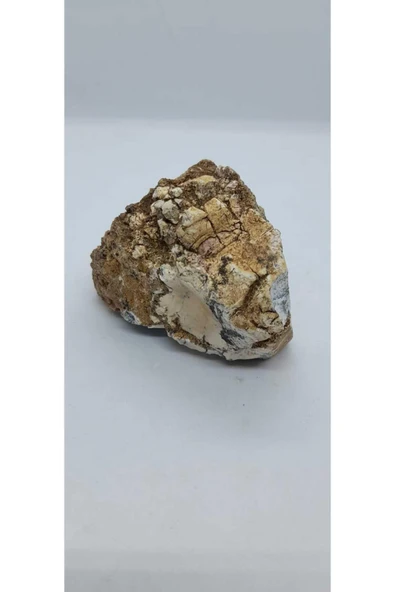 gemsartdeco Dentritli opal koleksiyonluk doğaltaş - Resim 4