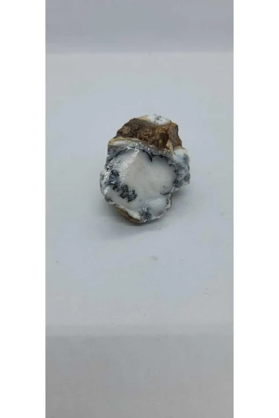 gemsartdeco Dentritli opal koleksiyonluk doğaltaş - Resim 4