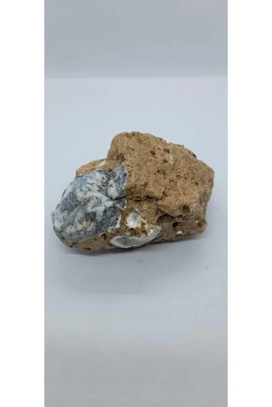 gemsartdeco Dentritli opal koleksiyonluk doğaltaş - Resim 5