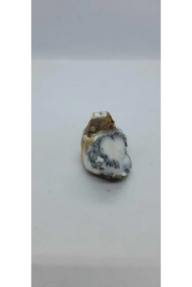 gemsartdeco Dentritli opal koleksiyonluk doğaltaş - Resim 5