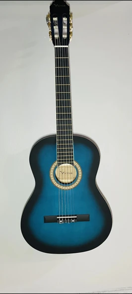 Gitar ürün görseli