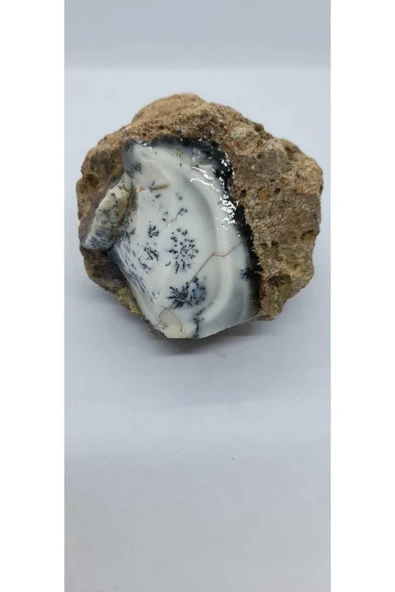 gemsartdeco Dentritli opal koleksiyonluk doğaltaş - Resim 6