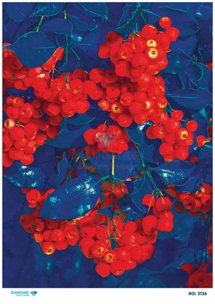 Diamond Pirinç Dekopaj Kağıdı - 3136 ürün görseli 1