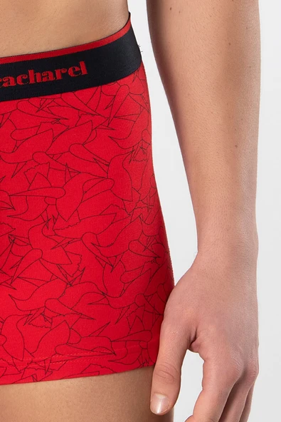 Cacharel Erkek Desenli Likralı Boxer 3'lü Paket 1339/Lacivert 2 - Resim 3