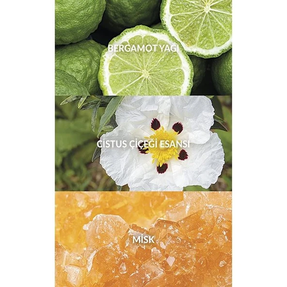 AVON Full Speed Erkek Parfüm EDT 30ml - Resim 3