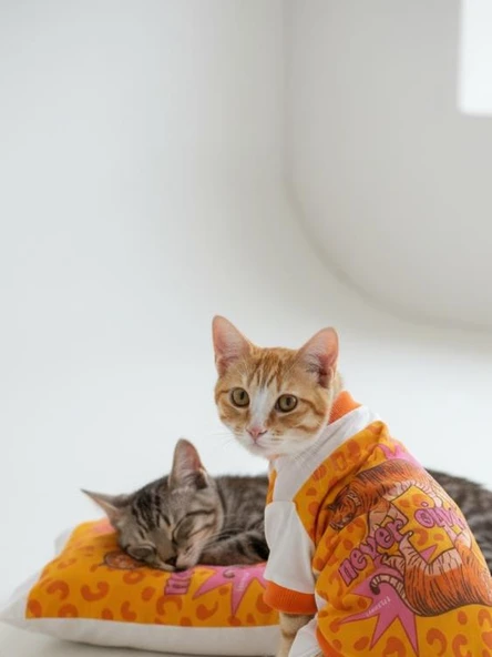 Tiger Leopar Desenli Penye Kedi Tulum | Tüy Dökülmesini Azaltmaya Yardımcı | Yumuşak & Rahat Kedi Kıyafeti - Resim 12