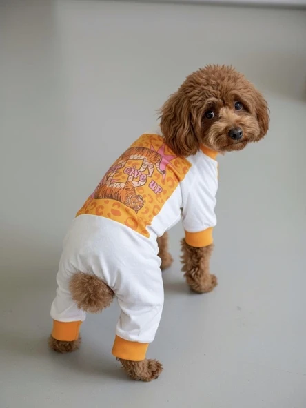 Tiger Köpek Uyku Takımı | Pamuklu Penye Köpek Tulumu ve Mini Yastık | Küçük Irklar İçin | Tüy Dökülmesini Azaltır - Resim 8