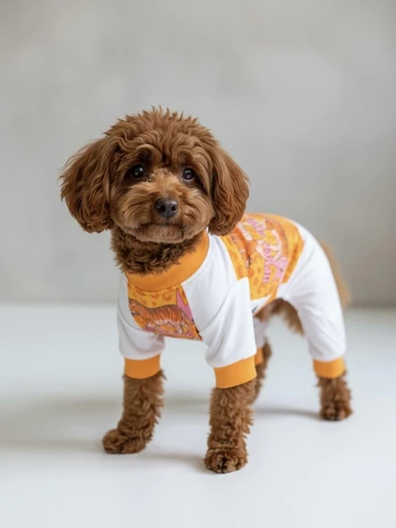 Tiger Köpek Uyku Takımı | Pamuklu Penye Köpek Tulumu ve Mini Yastık | Küçük Irklar İçin | Tüy Dökülmesini Azaltır - Resim 7