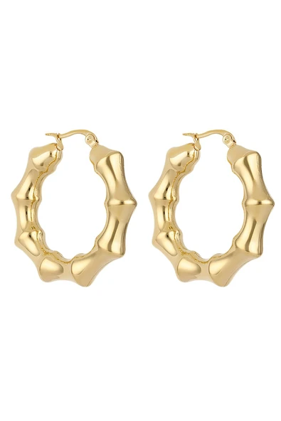 Daniel Klein Orijinal Kadın Çelik Küpe DKJ.3.30007-2 ürün görseli