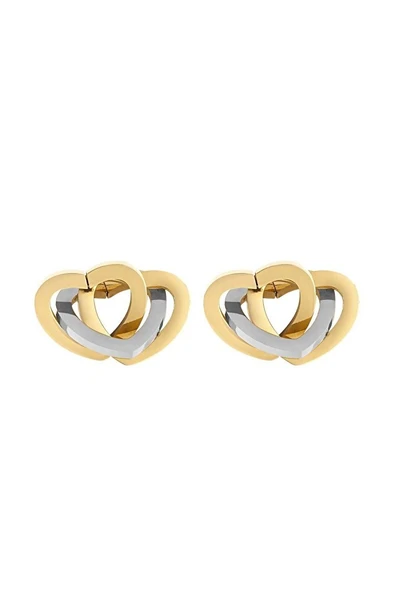 Daniel Klein KADIN ÇELİK KÜPE DKJ.3.5009-2 ürün görseli