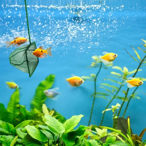 Akvaryum Balık Kepçesi - 7.5 Cm ürün görseli 1