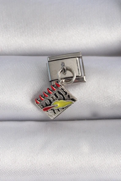 316L Çelik Gümüş Renk Sallantı Defter Figür Nomination Charm ürün görseli 1