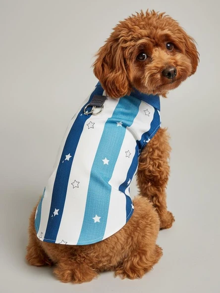 Star Sky Rain Küçük Köpek Yağmurluk Ceket - Resim 5