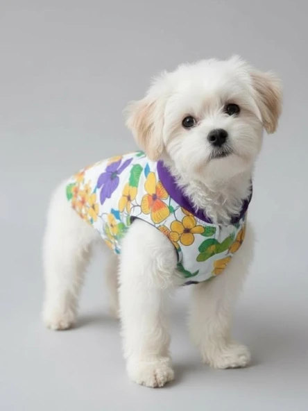 Flora Rain Küçük Köpek Yağmurluk Ceket - Resim 7