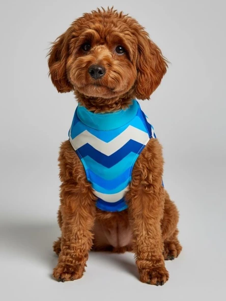 Surf Rain Küçük Köpek Yağmurluk Ceket - Resim 2