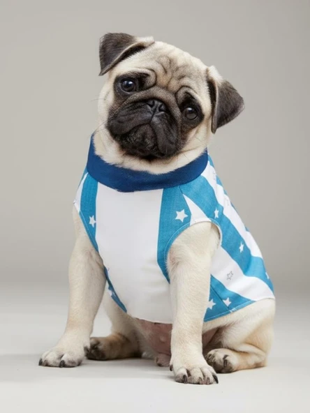 Star Sky Rain Küçük Köpek Yağmurluk Ceket - Resim 6