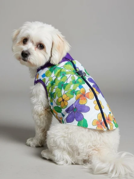 Flora Rain Küçük Köpek Yağmurluk Ceket - Resim 16