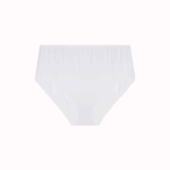 Büyük Beden 2li Yüksek Bel İz Yapmaz Slip Bambu Külot - Resim 4