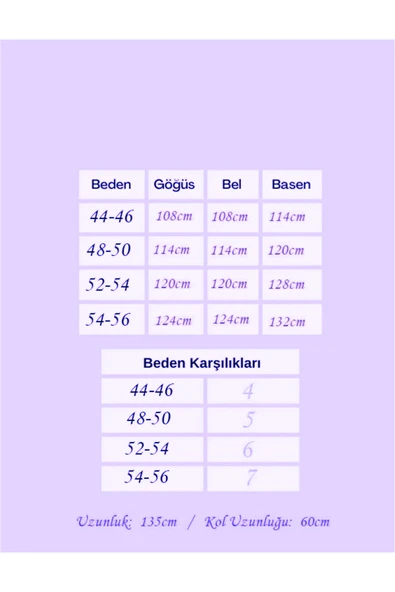 Arya Yuvarlak Yaka Şık Taş İşlemeli Büyük Beden Anne Abiye Elbise - Resim 6