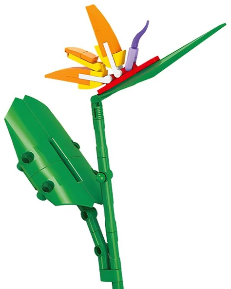 Ctoys Plant Series Florist Block Strelitzia Reginae 8856 9 - Resim 3
