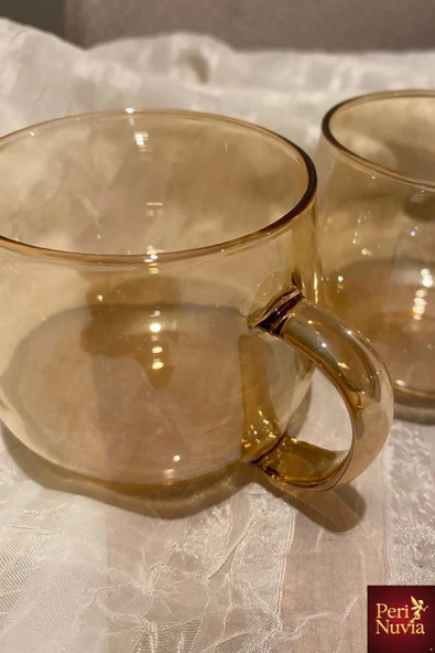 İkili Estetik BoroSilikat Cam Bitki Çayı & Kahve Fincanı Seti - Resim 6