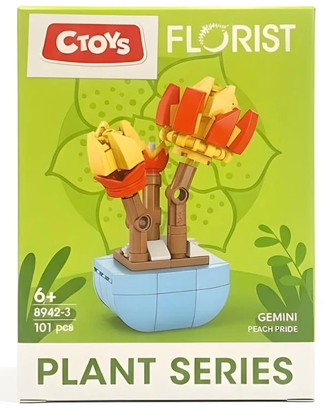 Ctoys Florist Burçlar Saksılı Bitki Yapım Seti Gemini 8942 3 ürün görseli 1