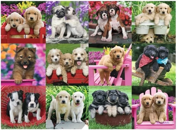 Ravensburger 500 Parça Puzzle Köpek Yavruları - 146598 - Resim 2