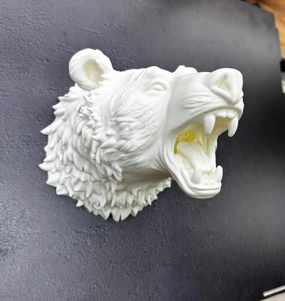 Beyaz Renk 3D Ayı Başı Duvar Dekoru - Resim 5