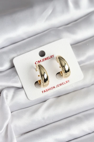 14K Gold Renk Kaplama Halka CM Kadın Küpe ürün görseli 1