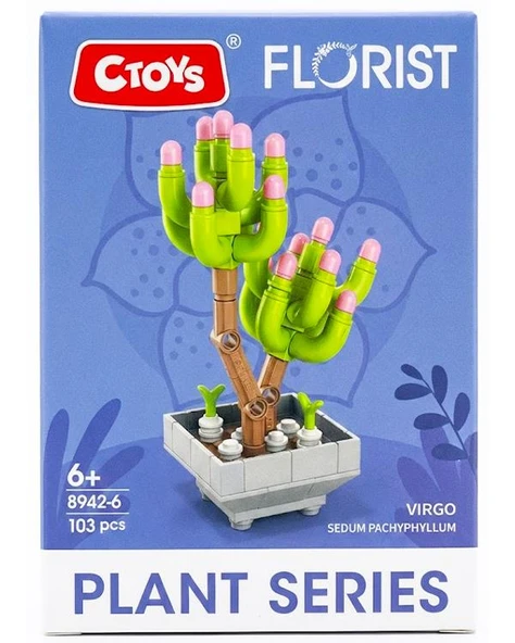 Ctoys Florist Burçlar Saksılı Bitki Yapım Seti Virgo 8942 6 ürün görseli 1