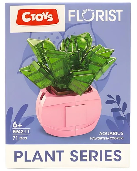 Ctoys Florist Burçlar Saksılı Bitki Yapım Seti Aquarius 8942 11 ürün görseli 1