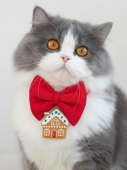 GingerHome Kedi Papyon Tasması | Kırmızı Fiyonk Boyun Aksesuarı | Noel Temalı Kedi Süsü - Resim 5