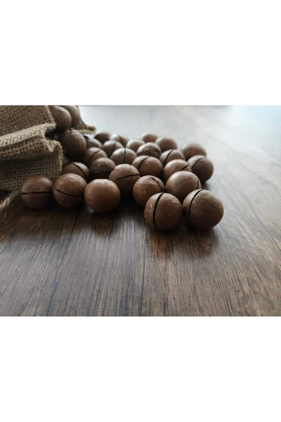 Zehre Kabuklu, Kavrulmuş Makademya Fındığı 250 Gr - Resim 2