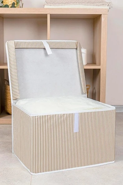 Çok Amaçlı Düzenleyici Kutu Mini 40x30x26 Cm Bej - Resim 2