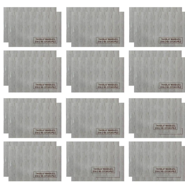 Dilman 2/50 Otokopili Tahsilat Makbuzu 2 Nüsha Ürün Kodu: 4015 - 24 Adet ürün görseli 1