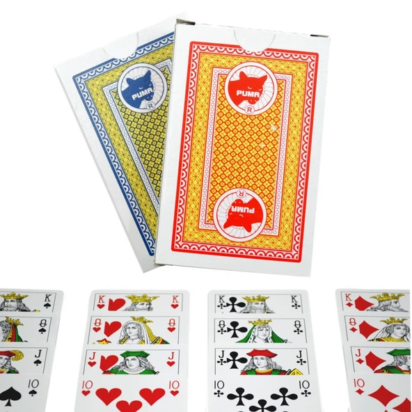 Iskambil Oyun Kağıdı A/30 2 DESTE - Resim 4