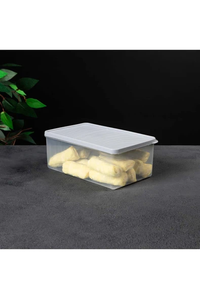 GenelTedarik BUZDOLABI DERİN DONDURUCU KABI KAPAKLI KAPAKLI KIRILMAZ SAKLAMA KABI 2,1 LT - Resim 3