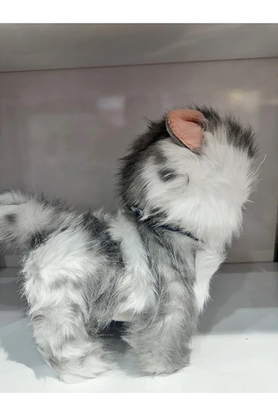 Tasmalı Dil Çıkartan Sesli Hareketli Ses Tekrarı Yapan Sevimli Kedi Büyük Boy ürün görseli 1