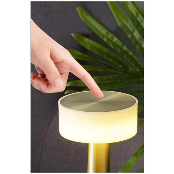 Cata Ct 8436 Denver Şarjli Masa Lambası 3 Renk - Resim 2