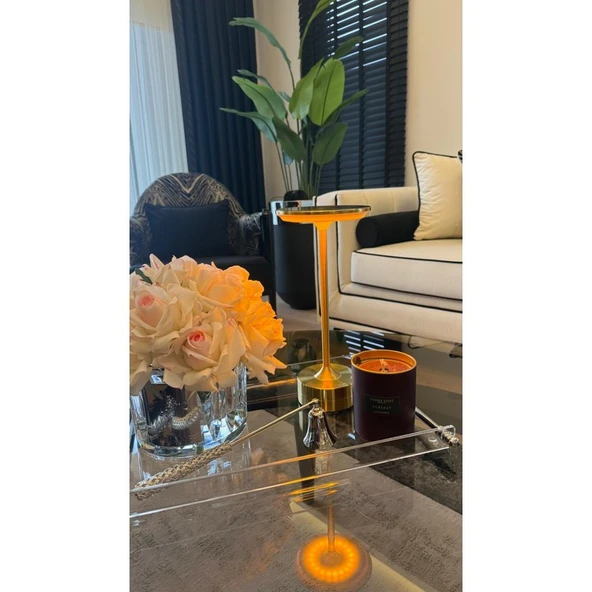 Cata CT-8438 Toronto Şarjlı Masa Lambası Gold Gövde - Resim 3