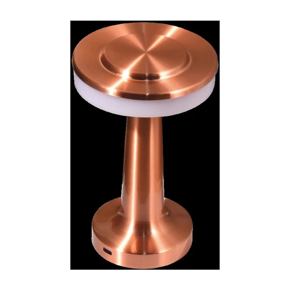 Cata Ct 8435 Oslo Dokunmatik USB Sarjlı Masa Lambası ürün görseli 1